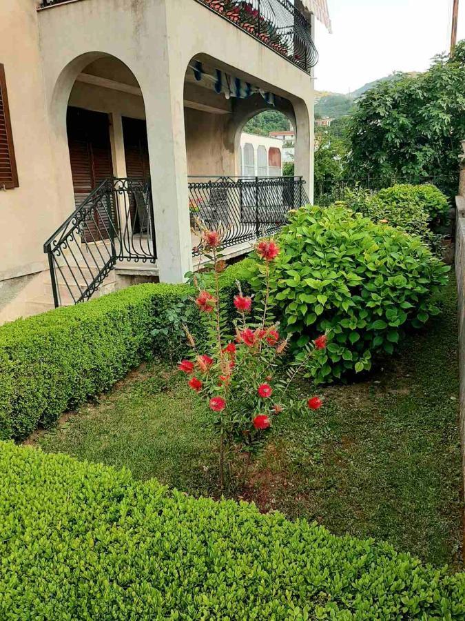 Andrej Apartments Kotor Extérieur photo